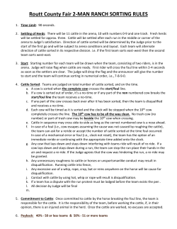 Routt County Fair 2-MAN RANCH SORTING RULES