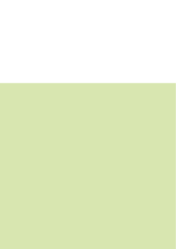 Danish National Action Plan