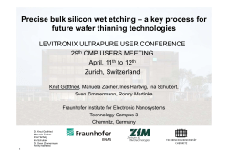 K.Gottfried_Precise bulk silicon wet etching