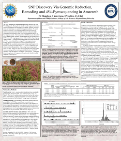 SNP Discovery Via Genomic Reduction, Barcoding and 454