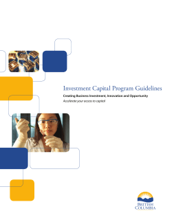 Investment Capital Program Guidelines