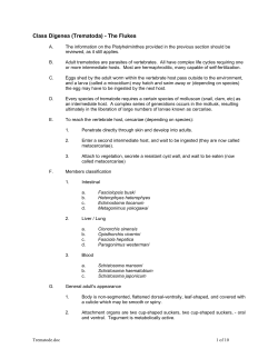 Class Digenea (Trematoda)