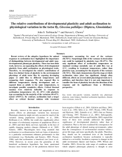 The relative contributions of developmental plasticity and adult