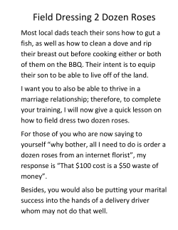 Field Dressing 2 Dozen Roses