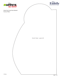 Kermit the Frog`s Most Wanted No Sew Pillow