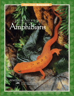 PDF - Penn State Extension