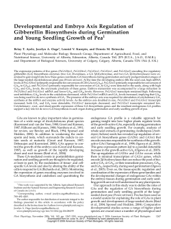 Developmental and Embryo Axis Regulation of