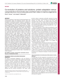 Co-evolution of proteins and solutions: protein adaptation versus