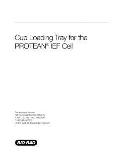 Cup Loading Tray for the PROTEAN&reg; IEF Cell - Bio-Rad