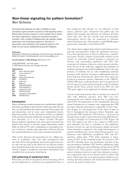 Non-linear signaling for pattern formation? Ben Scheres