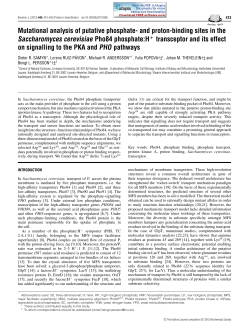 Mutational analysis of putative phosphate