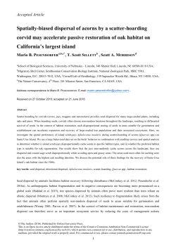 Spatially-biased dispersal of acorns by a scatter