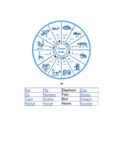 Rat Pig Elephant Dog Ox Monkey Fish Sheep Tiger Snake Bird