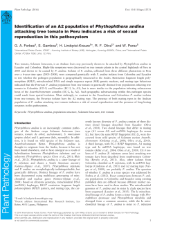 Identification of an A2 population of Phythophthora andina attacking