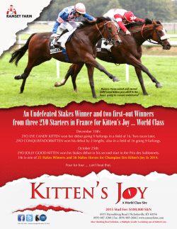 An Undefeated Stakes Winner and two first-out