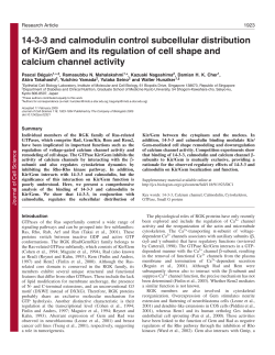 14-3-3 and calmodulin control subcellular distribution of Kir/Gem