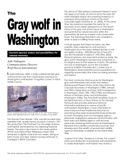 The Gray Wolf in Washington