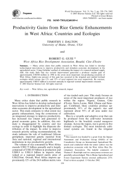 Productivity Gains from Rice Genetic Enhancements