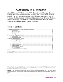 Autophagy in C. elegans