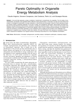 Pareto Optimality in Organelle Energy Metabolism Analysis
