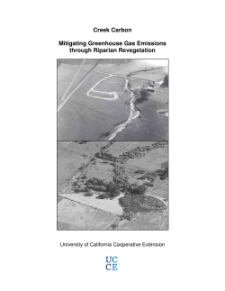 Mitigating Greenhouse Gas Emissions through Riparian