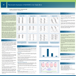 Pleiomorphic Expression of N24HSWD in the Totally Blind 48