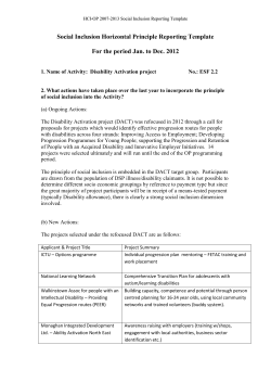 Social Inclusion Horizontal Principle Reporting Template For the