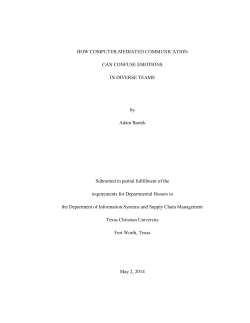 Literature Review.docx - TCU Digital Repository