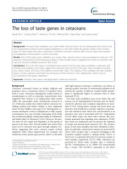 The loss of taste genes in cetaceans | SpringerLink