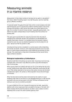 Measuring animals in a marine reserve