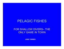 pelagic fishes - Penguinscience