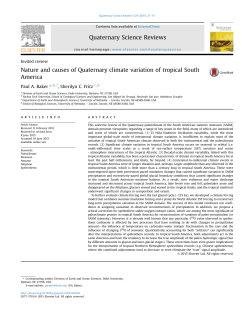 Nature and causes of Quaternary climate variation of tropical South