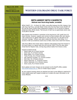DEA and DTF Arrest Eight Plus Meth 3-28-08
