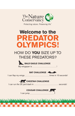 the PREDATOR OLYMPICS!