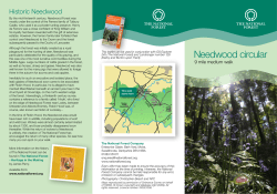 Needwood circular 9 mile medium walk