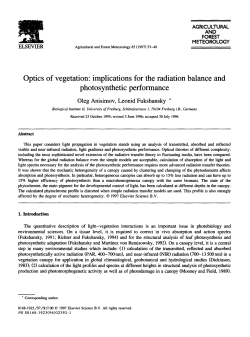 Optics of vegetation: implications for the radiation balance