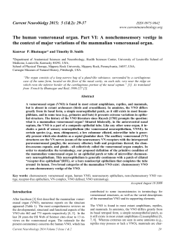The human vomeronasal organ. Part VI: A nonchemosensory