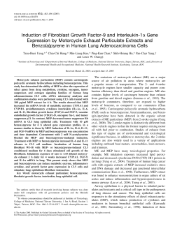 Induction of Fibroblast Growth Factor-9 and