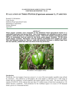 EVALUATION OF THREE PEPPER (Capsicum annuum L.) VARIETIES
