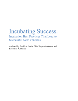 Incubating Success