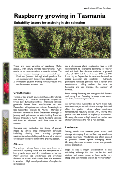 Raspberry fact sheet