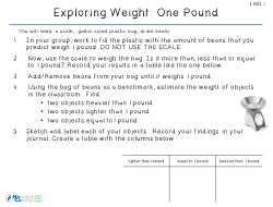 Exploring Weight: One Pound