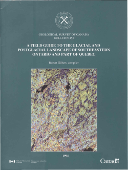 sa:lJOosal:j leJnll`N