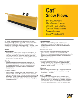 Cat&reg; Snow Plows