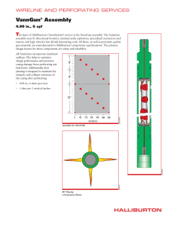 4.00 in., 6 spf, VannGun&reg; Assembly