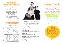 The Building Blocks of the Nurturing Programme