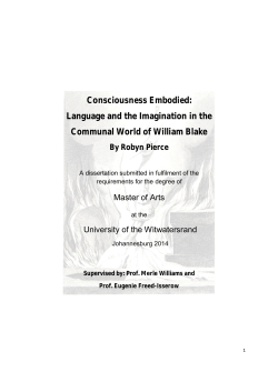 Robyn Pierce MA Dissertation June 2014