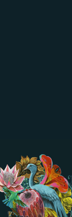 Equus - Cavalli Estate