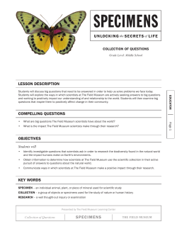 collection_of_questions