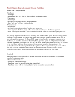 Plant-Microbe Interactions and Mineral Nutrition